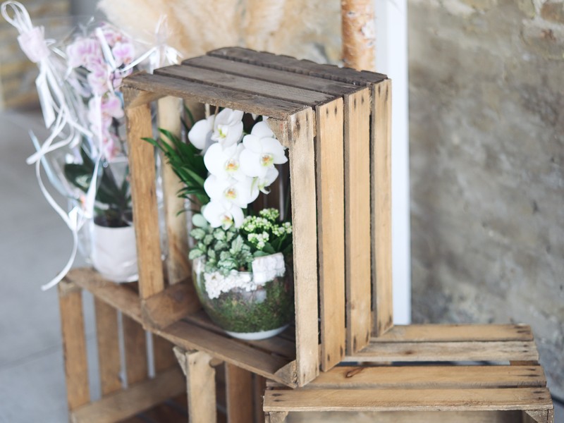 Cagette en bois