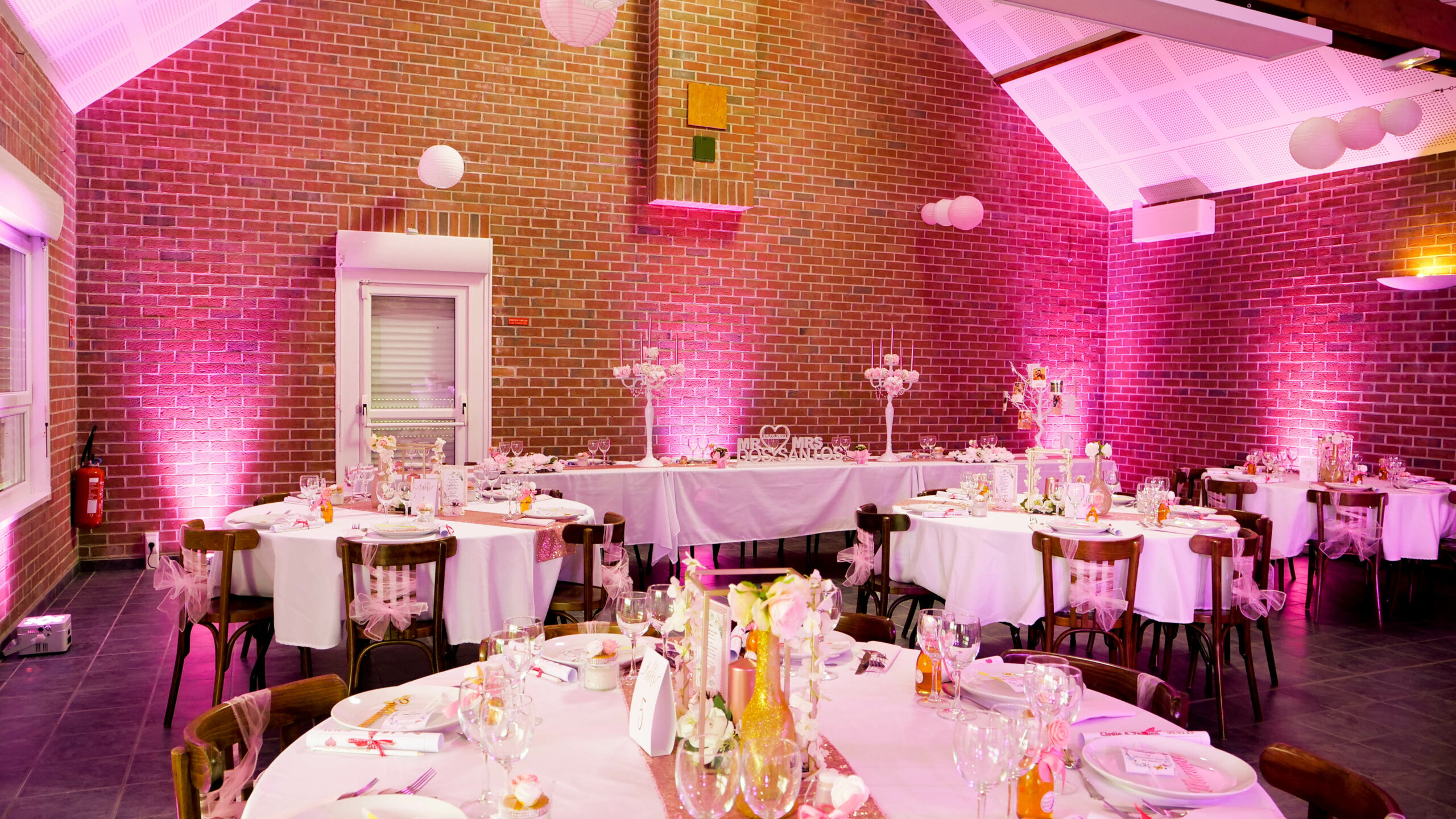 Mise en lumière de la Hêtraie