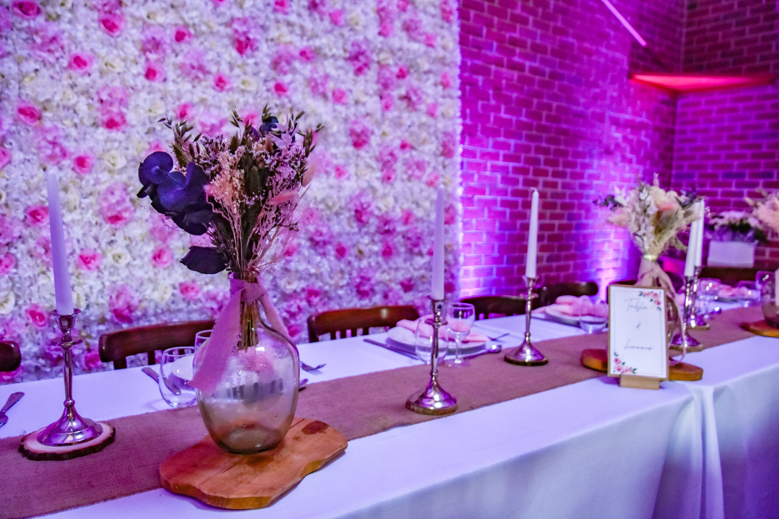 Mise en lumière de la Hêtraie